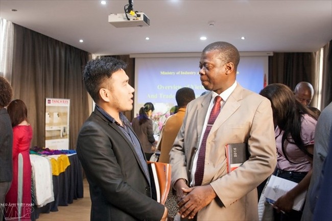 Renforcer les échanges économiques Vietnam-Mozambique - ảnh 1