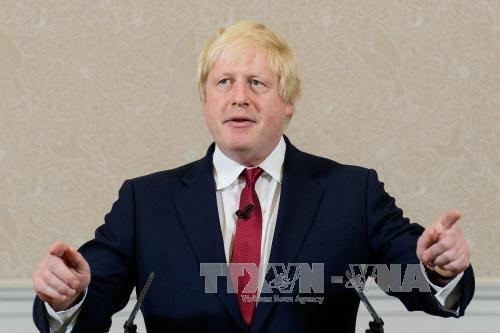 Royaume-Uni: Boris Johnson renonce à briguer la succession de Cameron - ảnh 1