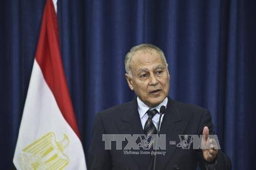 Ahmed Aboul Gheit, un ex-ministre de Moubarak élu à la tête de la Ligue arabe - ảnh 1
