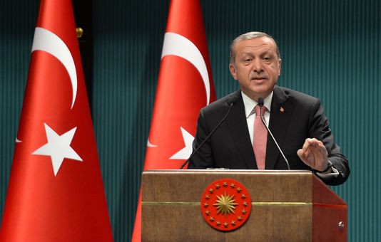 Turquie : le président Erdogan instaure l’état d’urgence pour trois mois - ảnh 1