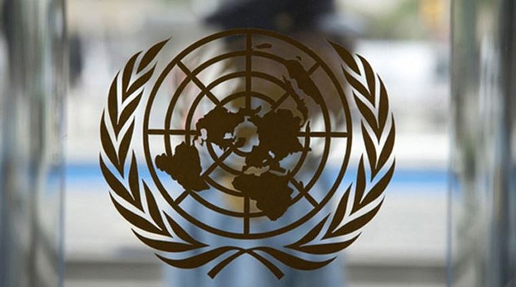La Malaisie assume la présidence tournante du Conseil de sécurité de l'ONU  - ảnh 1