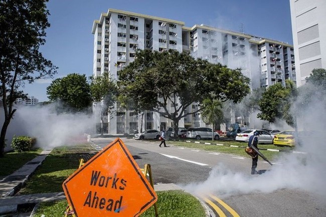 Singapour annonce 9 nouveaux cas d’infection au virus Zika - ảnh 1