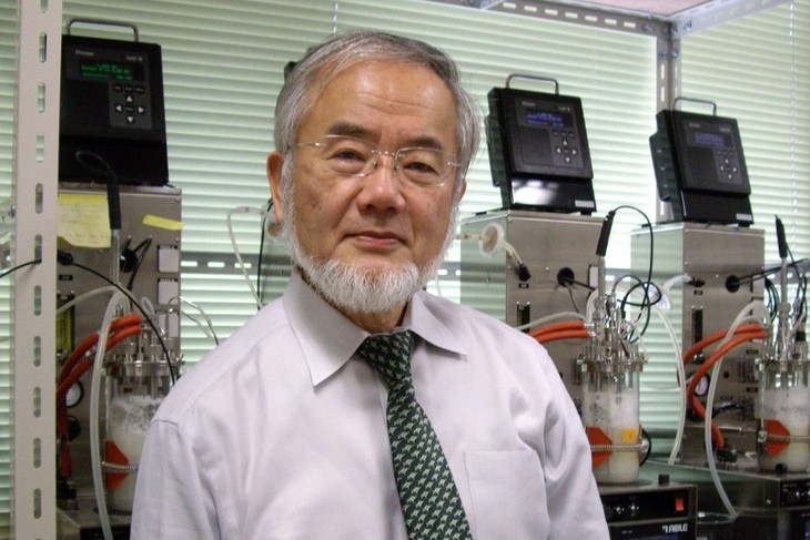 Le prix Nobel de médecine attribué au Japonais Yoshinori Ohsumi - ảnh 1