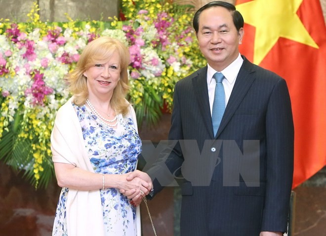 Eleanor Laing reçue par le président Tran Dai Quang  - ảnh 1