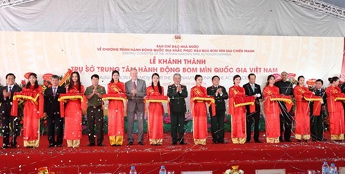 Un partenariat pour le déminage au Vietnam - ảnh 2