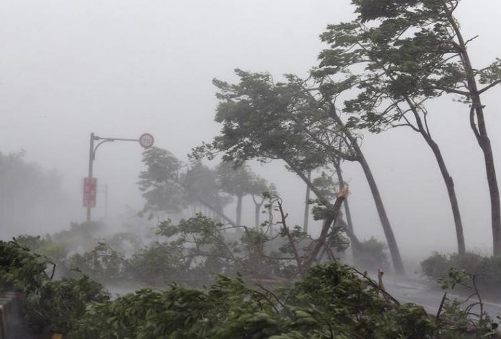 Le typhon Haima touche terre dans le sud de la Chine - ảnh 1