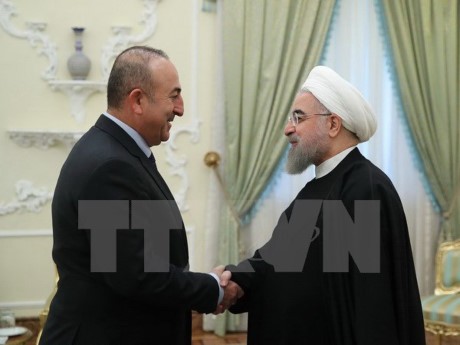 Le chef de la diplomatie turque arrive en Iran pour renforcer la coopération  - ảnh 1