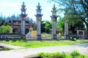 Le village d’abricotiers de Điền Hòa - ảnh 1