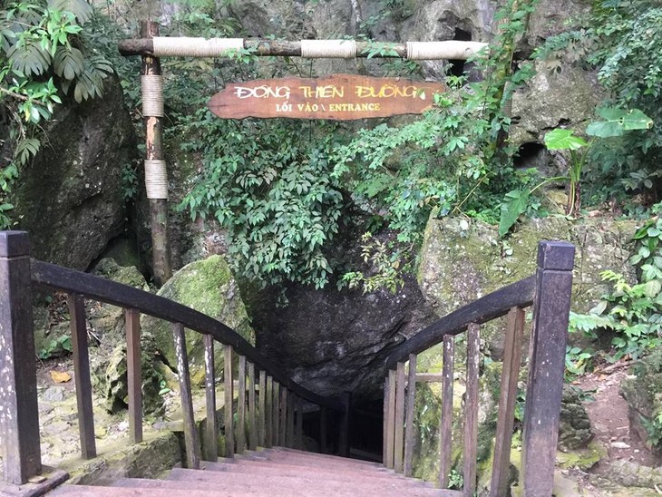 Avez-vous visité la grotte Thiên Duong? - ảnh 1