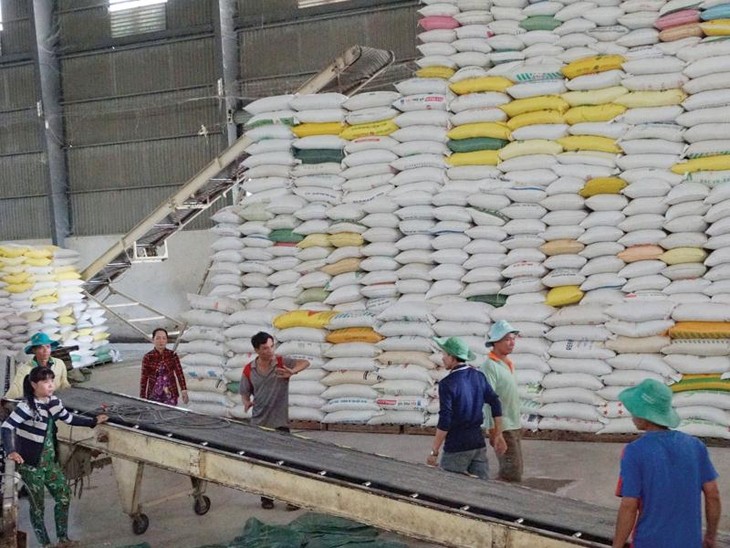 L’exportation du riz vietnamien en 2020 - ảnh 1