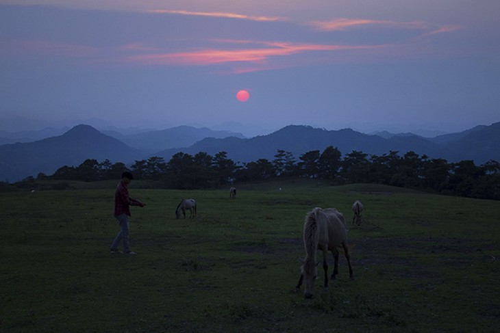 Les chevaux blancs à Khau Sao (Lang Son) - ảnh 14