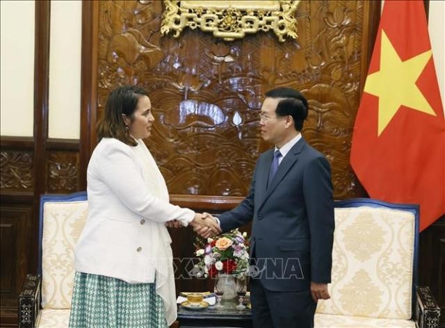 Vo Van Thuong reçoit les ambassadeurs sortants de Nouvelle-Zélande et du Pérou  - ảnh 1