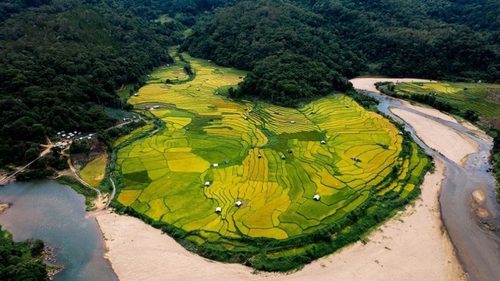 Saison dorée sur les rizières en terrasse de Kon Tum - ảnh 1