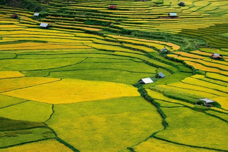 Saison dorée sur les rizières en terrasse de Kon Tum - ảnh 3