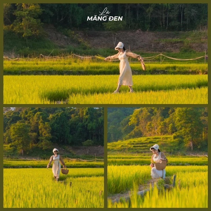 Saison dorée sur les rizières en terrasse de Kon Tum - ảnh 8