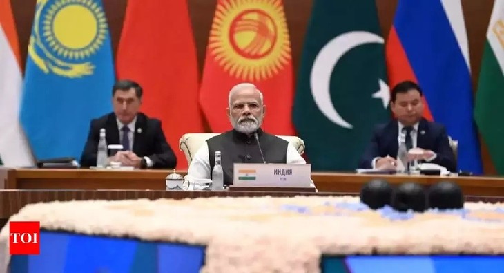 India to host SCO summit in virtual format in July - ảnh 1