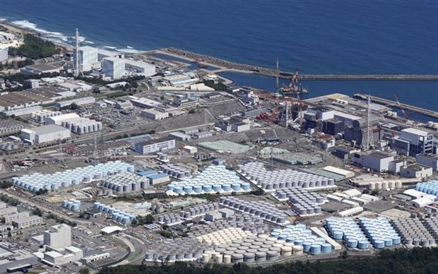 No tritium found near Fukushima plant after radioactive water discharge - ảnh 1