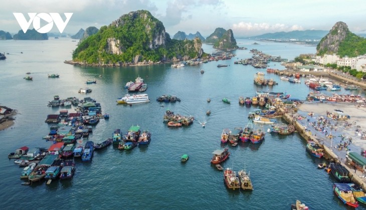 Foreign media hails beauty of Bai Tu Long island - ảnh 1
