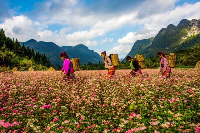 Ha Giang works to position and build its unique tourism brand - ảnh 1
