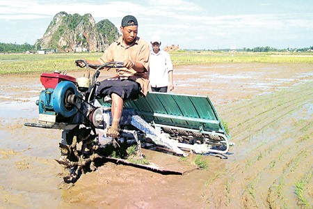Melakukan sosialisasi tentang pembangunan pedesaan baru di provinsi Ninh Binh - ảnh 1