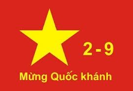 Aktivitas memperingati ulang tahun ke 67 Hari Nasional Vietnam di luar negeri - ảnh 1