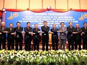 ASEAN plus 3 memperkuat penjaminan ketahanan pangan. - ảnh 1