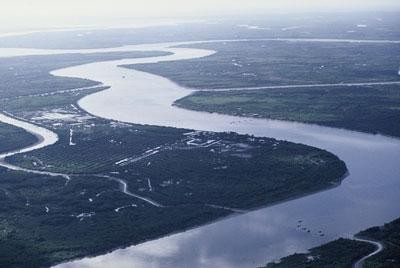 Menyusun Rencana aksi nasional untuk melaksanakan Strategi perkembangan daerah aliran sungai Mekong. - ảnh 1