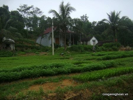Memusatkan segala sumber daya untuk membangun pedesaan baru di Vietnam - ảnh 1