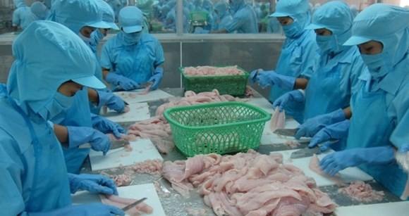 Amerika Serikat mengenakan tarif anti dumping yang tinggi terhadap ikan Patin dan Basa Vietnam - ảnh 1