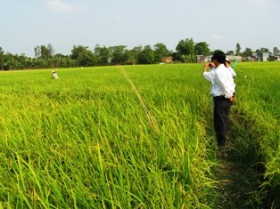 Provinsi An Giang bergotong royong membangun pedesaan baru - ảnh 2