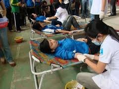 Kota Da Nang dan provinsi Tuyen Quang menyambut hari seluruh rakyat menyumbangkan darah sukarela - ảnh 1