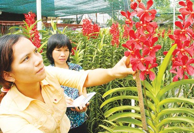 Perubahan setelah 3 tahun pembangunan pedesaan baru di kota Ho Chi Minh - ảnh 4