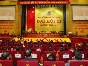 Memilih Pengurus Besar Himpunan Tani Vietnam angkatan ke-6 - ảnh 1