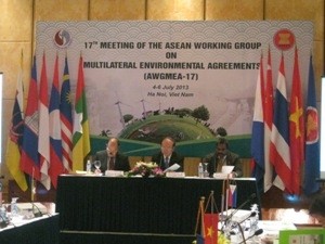Konferensi ke-17 Kelompok Kerja ASEAN tentang konvensi-konvensi multilateral mengenai lingkungan hidup - ảnh 1