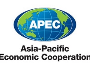 Konferensi persiapan bagi Konferensi Tingkat Tinggi APEC berakhir - ảnh 1