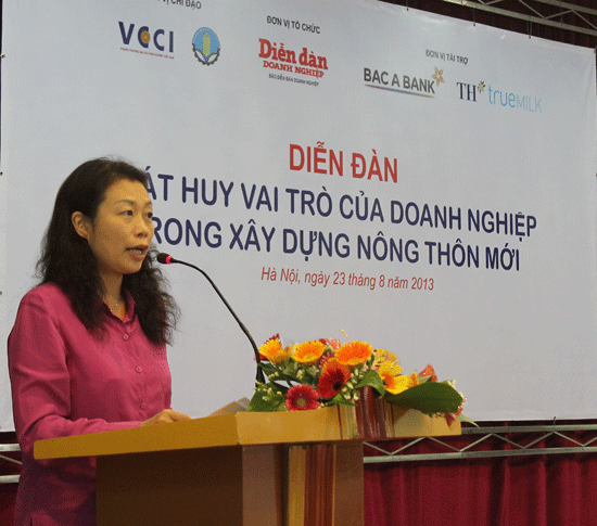 Badan-badan usaha Vietnam berjalan seperjalanan dengan pembangunan pedesaan baru - ảnh 1