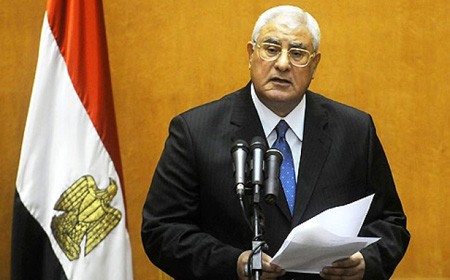 Mesir membentuk Komite Pemilihan Tertinggi - ảnh 1