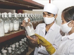Vietnam mempunyai potensi untuk mengembangkan ekonomi berbasis biologi - ảnh 1