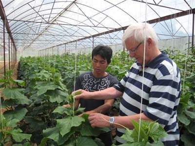 Pola koperasi tipe baru Thuy Huong turut membangun pedesaan baru - ảnh 2