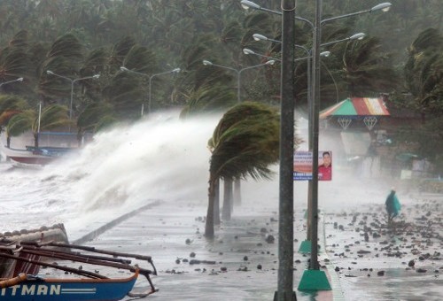 PBB membantu Filipina mengatasi akibat taupan Haiyan - ảnh 1