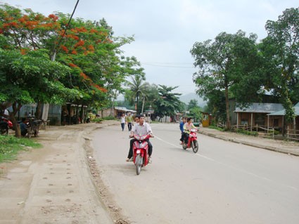 Rakyat provinsi Quang Tri bersatu membangun pedesaan baru - ảnh 3