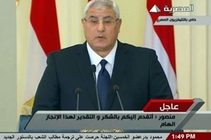 Mesir mengesahkan Undang-Undang tentang Pemilihan Presiden. - ảnh 1