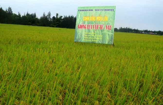 Perusahaan Umum Persero Material Pertanian provinsi Nghe An, badan usaha yang turut membangun pedesaan baru - ảnh 3