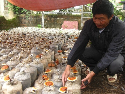 Mengerahkan tenaga rakyat dalam membangun pedesaan baru: Cara yang baik di kabupaten Nhu Thanh, provinsi Thanh Hoa - ảnh 3