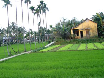 Institusi kebudayaan turut membangun pedesaan baru di kecamatan Me So, provinsi Hung Yen - ảnh 3