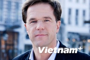 Vietnam-Belanda: Dari hubungan dagang ke kerjasama dan persahabatan - ảnh 1