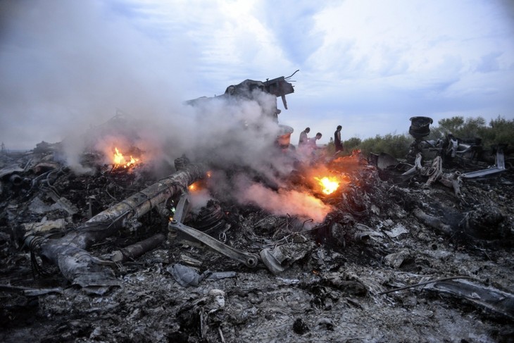 Reaksi komunitas internasional tentang kasus jatuhnya pesawat terbang MH-17 - ảnh 1