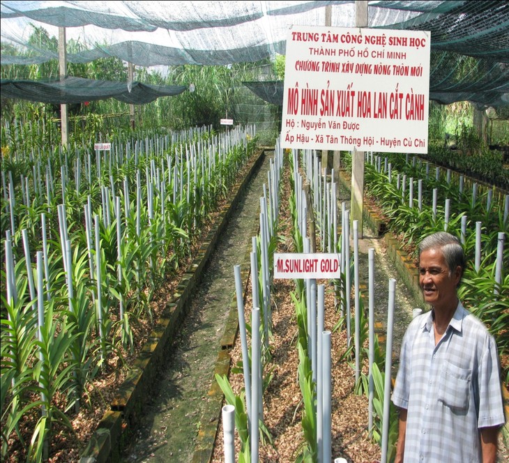 Menerapkan ilmu pengetahuan dan teknologi pada usaha cocok tanam pertanian di kota Ho Chi Minh - ảnh 1