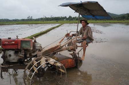 Menyatukan sawah-sawah dan memperkuat mekanisasi dalam produksi pertanian di provinsi Bac Ninh - ảnh 1