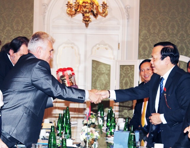 Delegasi tingkat tinggi Majelis Nasional Vietnam melakukan kunjungan di Republik Czech - ảnh 1